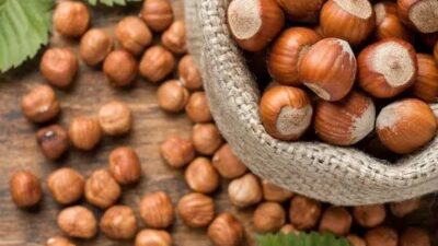 Fındık piyasası yeni yılın ilk günlerinde üreticiler tarafından yakından takip