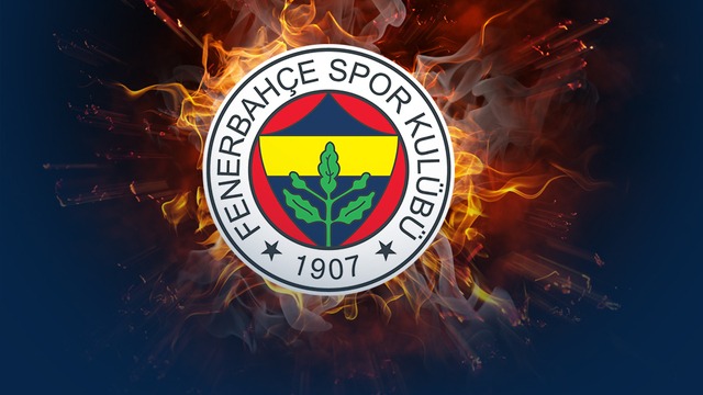 Fenerbahçe'nin Ziraat Türkiye Kupası'nda Erzurumspor FK ile oynadığı maçta sakatlanan