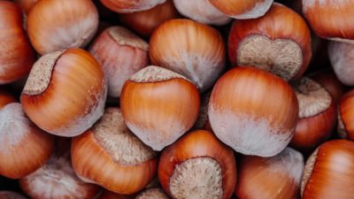 Türkiye’nin en önemli tarımsal ihraç ürünlerinden biri olan fındıkta serbest