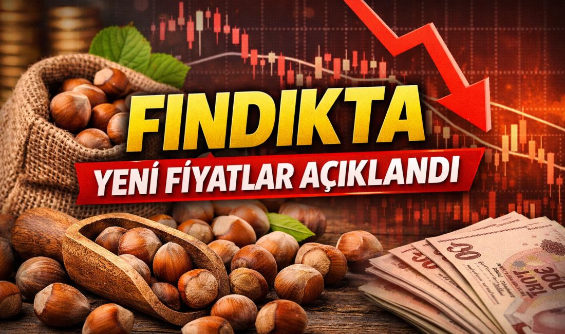 Fındık piyasasında düşüş trendi devam ediyor. 10 Şubat 2026 itibarıyla