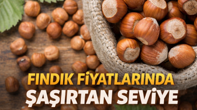 Karadeniz’de üreticinin yakından takip ettiği serbest piyasa fındık fiyatları 22