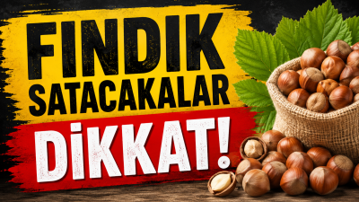 Karadeniz’de yüz binlerce üreticinin yakından takip ettiği serbest piyasa fındık