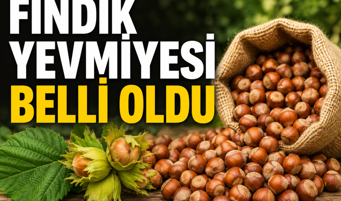 2026 yılı fındık hasadı öncesinde mevsimlik tarım işçilerinin merakla beklediği