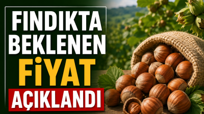 Sakarya Ziraat Odaları İl Koordinasyon Kurulu Başkanı Ali Şener Bayraktar,