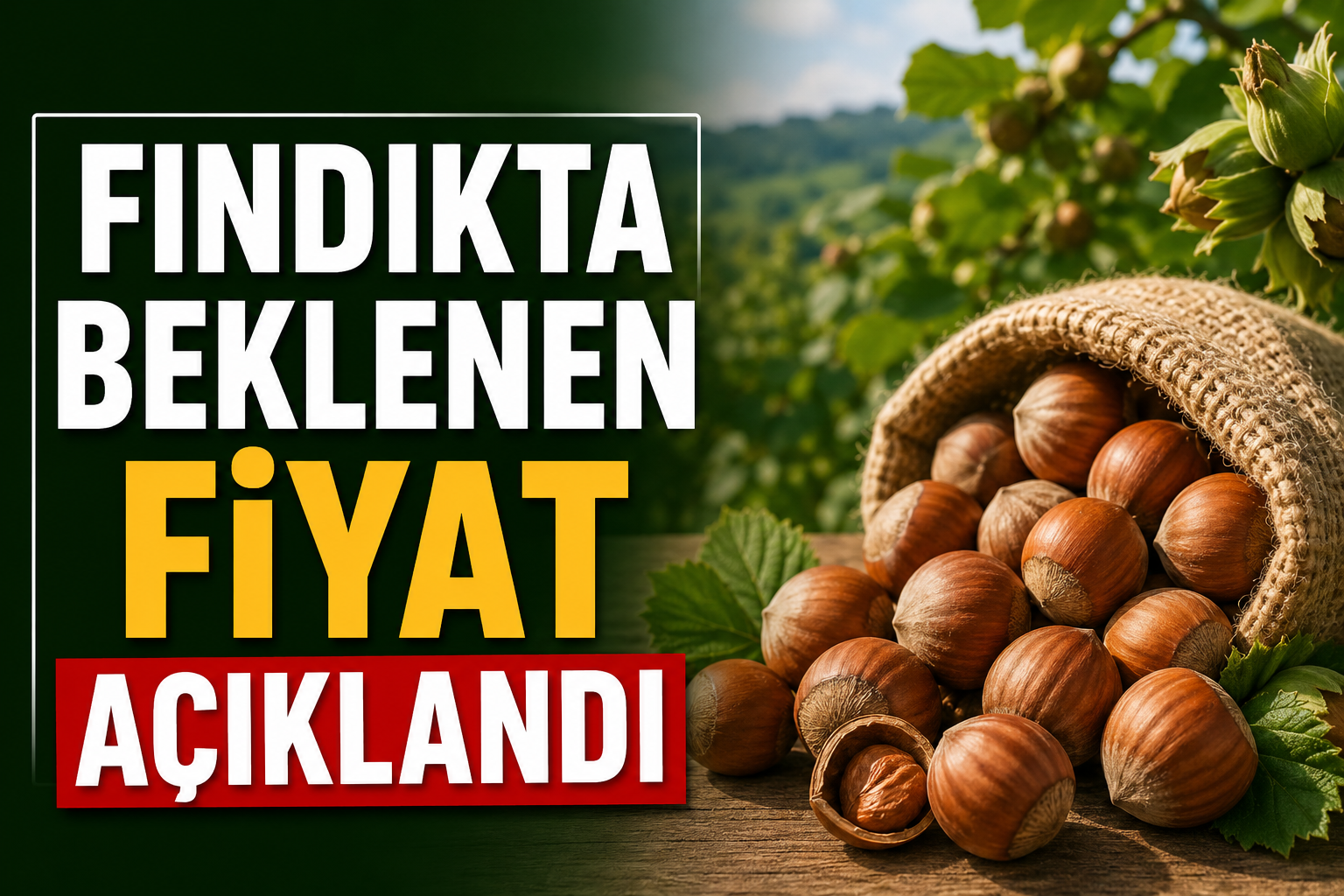 Sakarya Ziraat Odaları İl Koordinasyon Kurulu Başkanı Ali Şener Bayraktar,