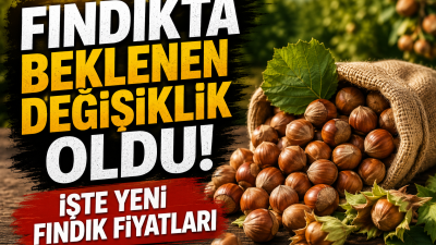 2026/2027 fındık sezonunda üreticinin yakından takip ettiği fiyat tablosu netleşti.